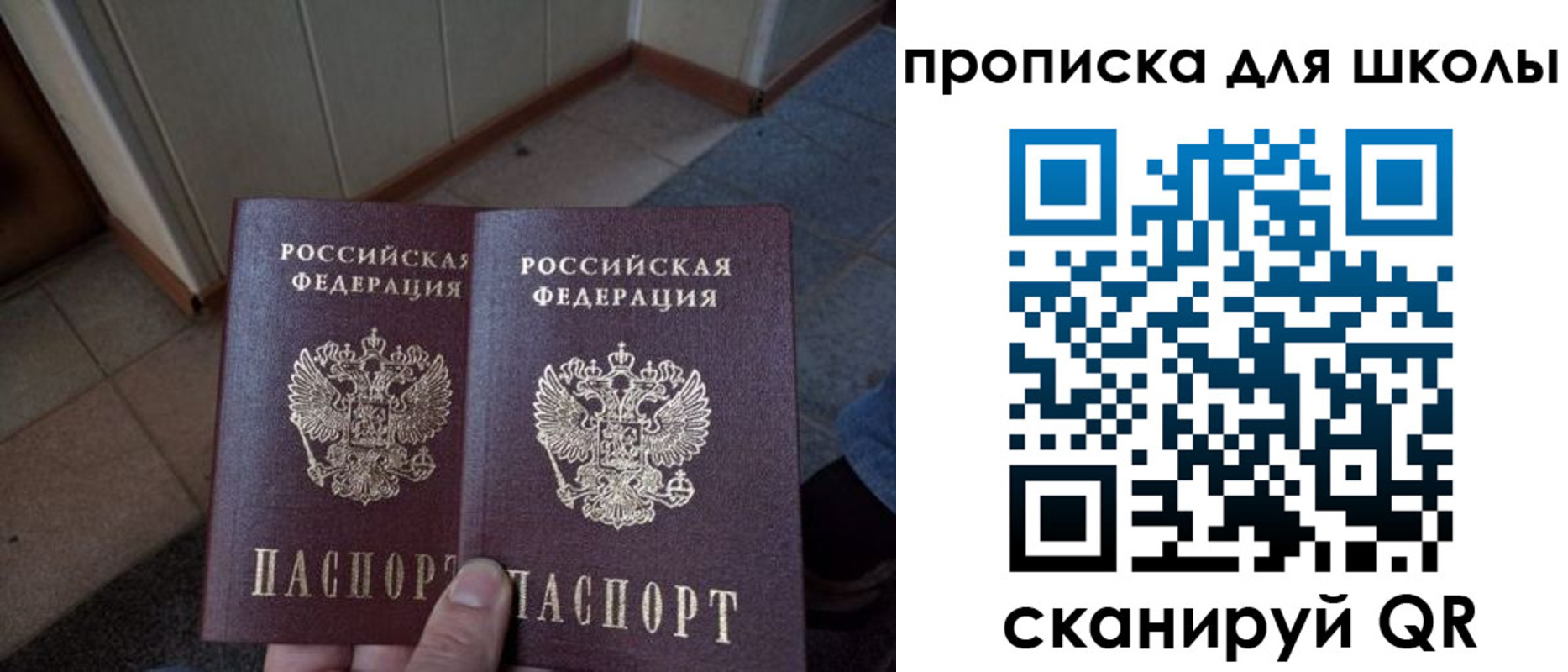 прописка гарантия в Самаре